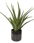 Tucson - Aloe Planter - Black