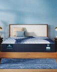 iComfort - 11.5" Elana Memory Foam Firm Mattress