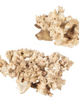 Elemental Root - Outdoor Sculptures (Set of 2) - White