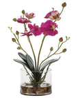 Glory Orchid - Fuchsia Orchid - Silver