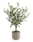 Solea Olive - Accent & Textured Vase - Brown / Green