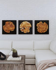 Kolini - Teak Wood Wall Decor (Set of 3)