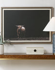 King Of The Hill - Framed Bovine Print - Black