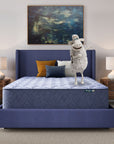 Five Star Mattress - Sleep to Go 14" Plush Mattress in a Box