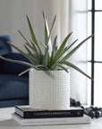 Taos - Aloe Centerpiece - Silver