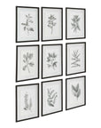 Farmhouse Florals - Framed Prints (Set of 9) - Black