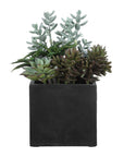 Greystone - Indoor-Outdoor Succulent - Green