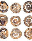 Corkscrew - Wood Wall Decor (Set of 9) - Light Brown
