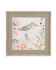 Shell Peppers I Framed Print - White