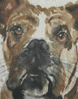 Dog Days - Framed Prints (Set of 4) - Black / Blue / Brown / Gray / Orange / White
