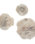 Teo - Wall Decor (Set of 3)
