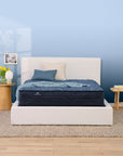 Perfect Sleeper - 12" Cobalt Calm Extra Firm Mattress