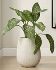 Rustic Ridge - Outdoor Planter - Off-White