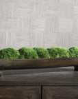Canal - Moss Centerpiece