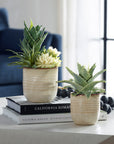 Seaside Succulents Set of 2 - Silver