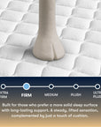 Perfect Sleeper - 13" Cascade Canyon Firm Mattress