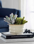 Mesa Succulent Accent - Silver