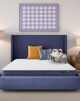 Perfect Day - 7" Serta Firm Mattress in a Box