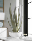 Evarado - Aloe Planter - White