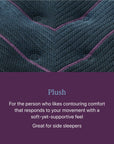Beautyrest World Class - Level Three Plush Mattress