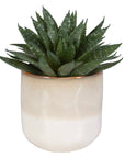 Doha - Succulent Accent - Light Gray