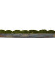 Canal - Moss Centerpiece