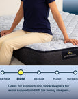 Perfect Sleeper - 12" Blue Lagoon Nights Firm Mattress