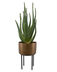 Arabia - Aloe Planter - Brown