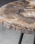 Mircea - Petrified Wood Accent Table - Black & Light Brown