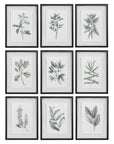 Farmhouse Florals - Framed Prints (Set of 9) - Black