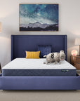 Perfect Day - 8" Serta Medium Mattress in a Box
