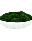 Awaken Moss - Centerpiece - Green / White