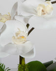 Transcend - Orchid Centerpiece - Gold