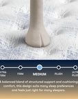 Perfect Sleeper - 14" Cascade Range Medium Mattress
