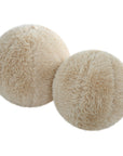 Abide - Ball Sheepskin Pillows (Set of 2) - Beige