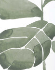 Fiddle Head - Leaf Botanical Prints (Set of 4) - Gold / Green / White