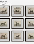 Equine Dynasty - Framed Prints (Set of 9)
