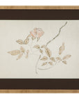 Delicate Rose I Framed Print - Cream