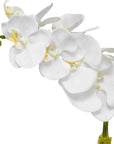 Cami - Orchid With Brass Pot - White