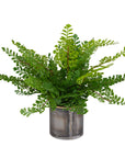 Maidenhair Fern - In Oxidized Container - Gray