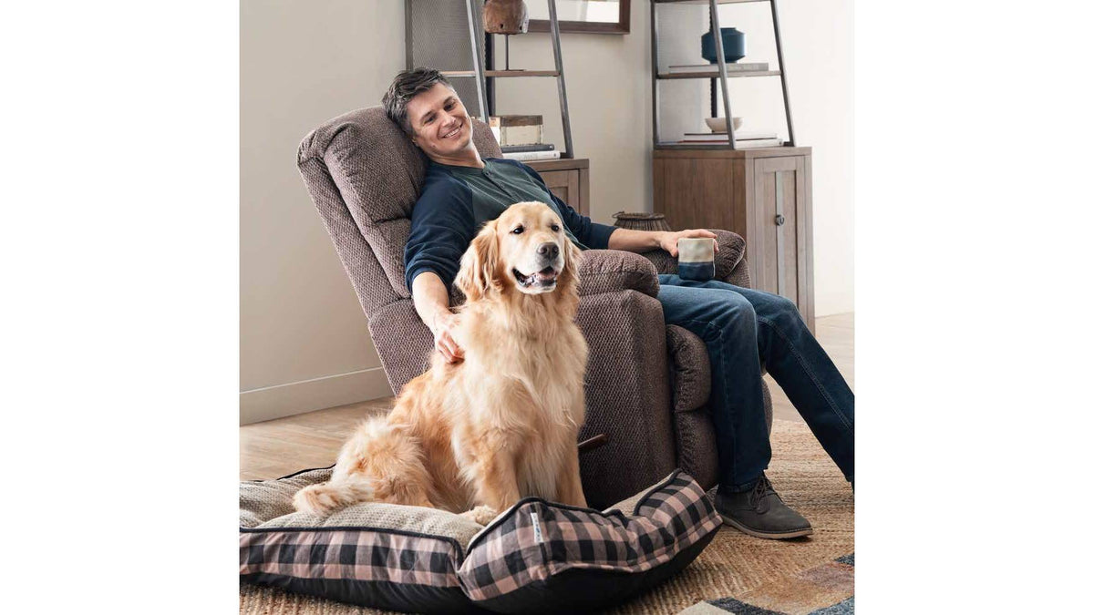 Morrison Recliner