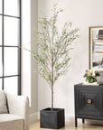 Abundance - Potted Olive Tree - Black