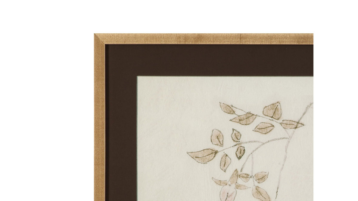 Delicate Rose II Framed Print - Cream