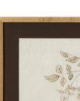 Delicate Rose II Framed Print - Cream