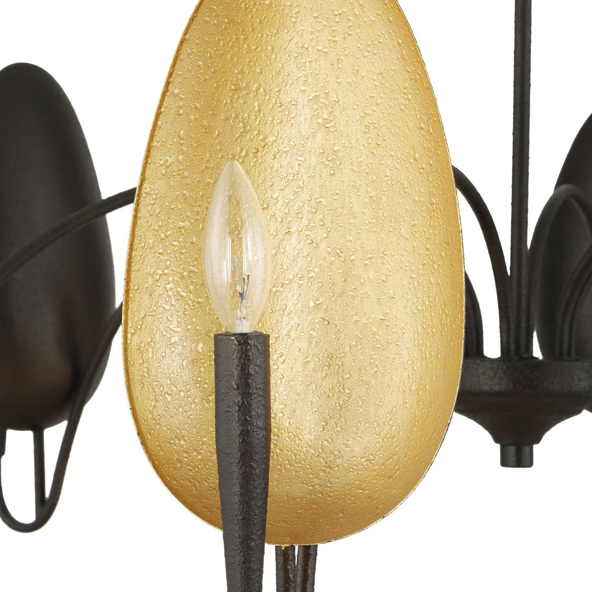 Warwick - 6 Light Chandelier - Matte Black