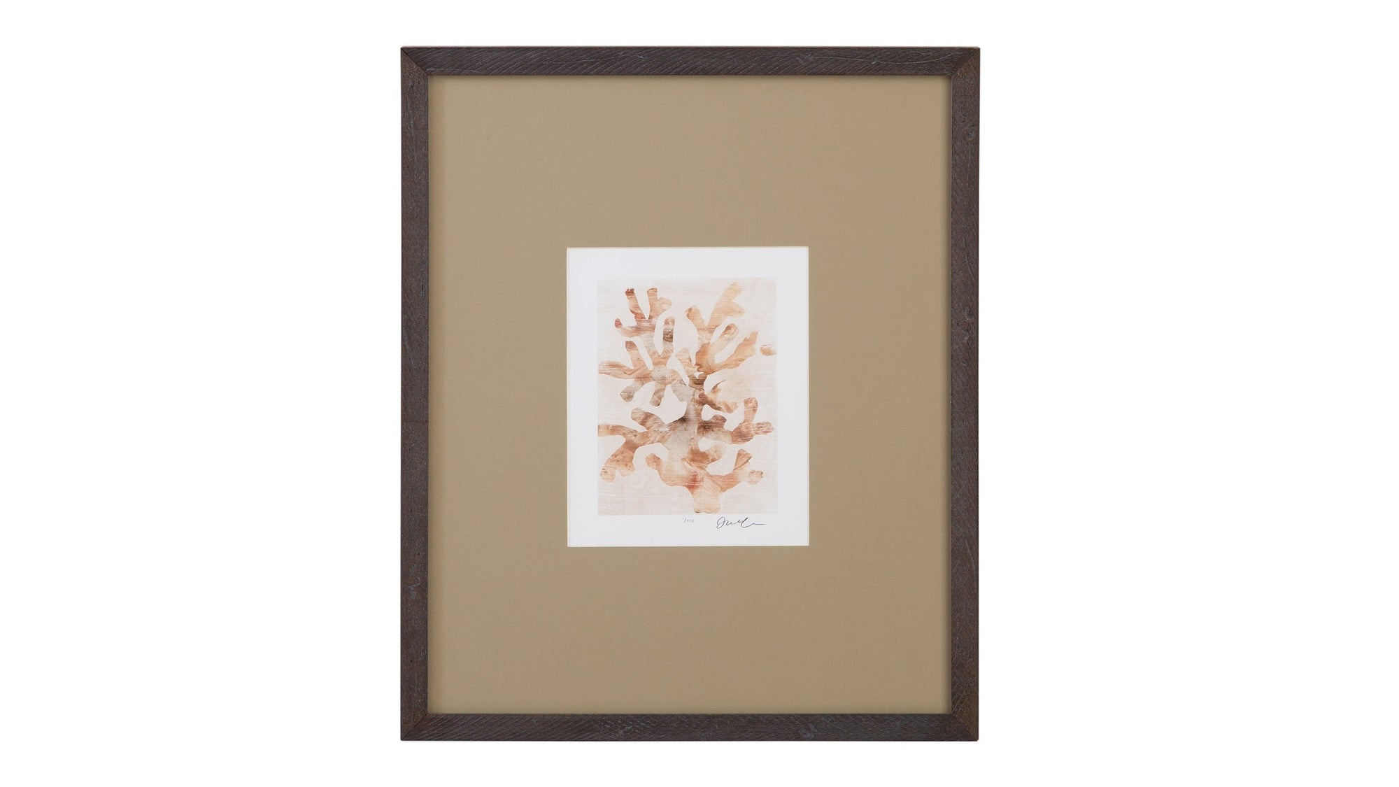 Parchment Coral I Framed Print - Brown