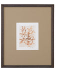 Parchment Coral I Framed Print - Brown