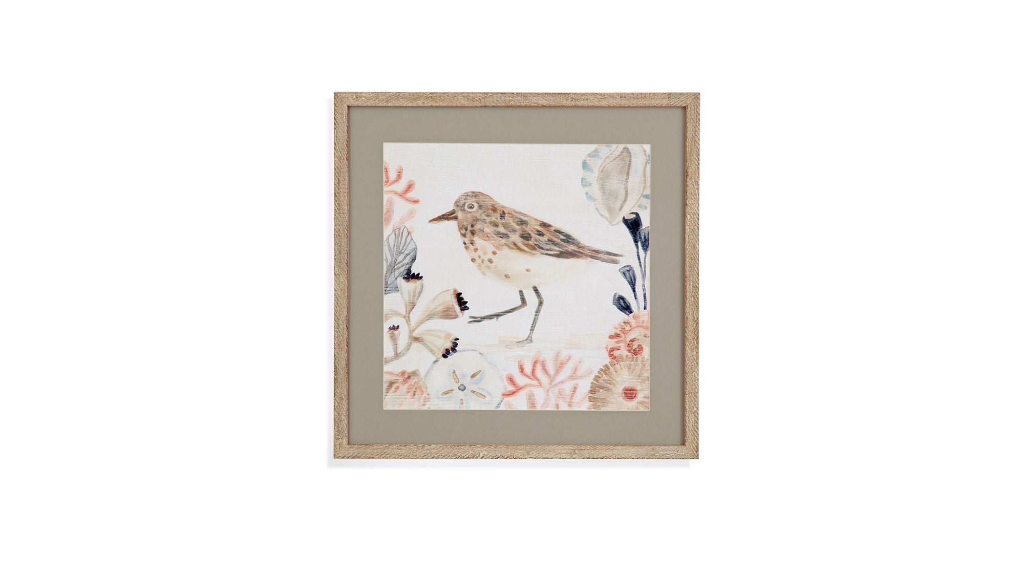 Shell Peppers II Framed Print - White