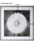 Dandelion Seedhead - Framed Print - Black