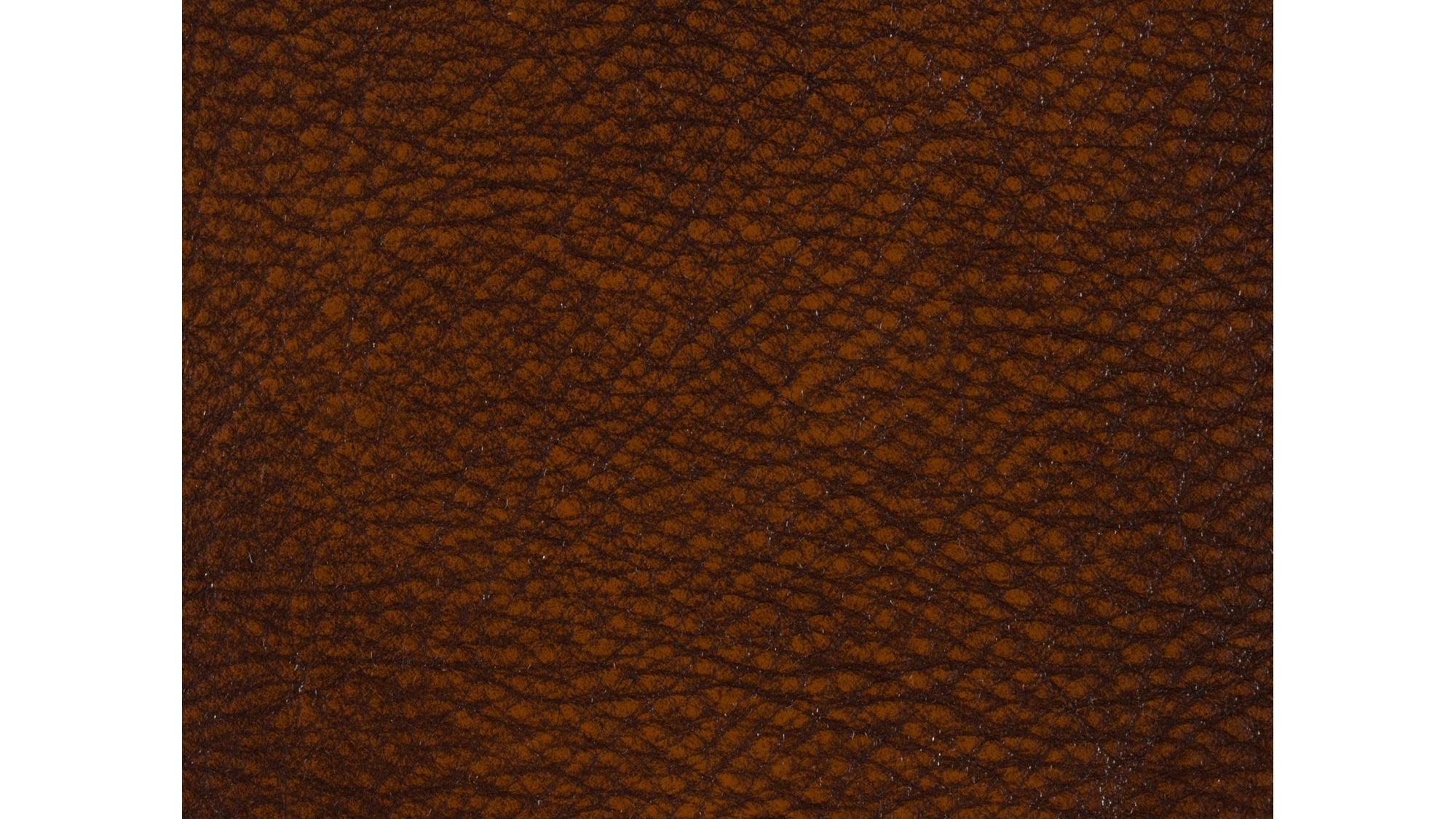 EC - Erin Executive Swivel Tilt Chair